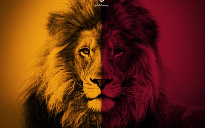 明博电竞焦点-C罗点球命中左下角