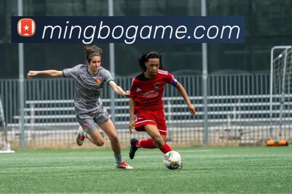 mingbogame发展历程